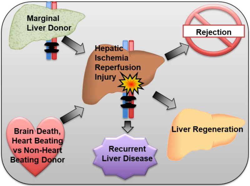 Figure 1: