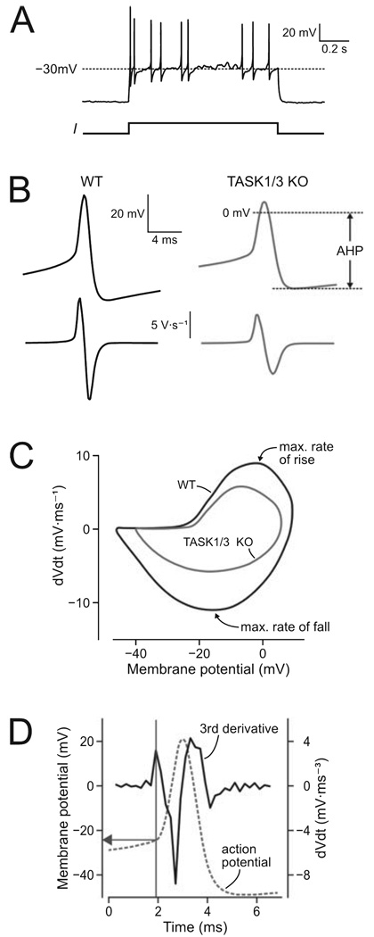 FIG. 3