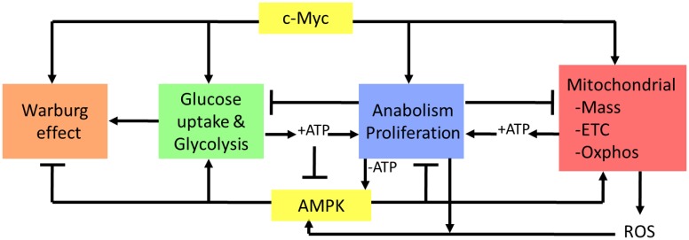 Fig 7