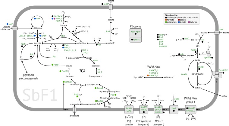 FIG 1