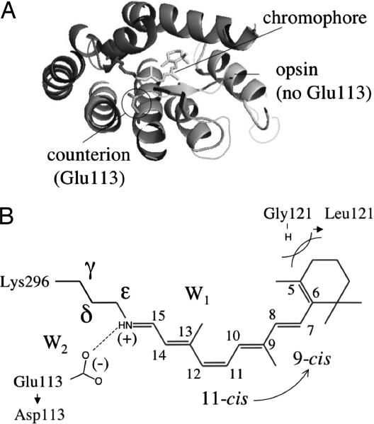 Fig. 1.