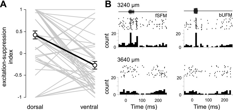 Fig. 11.