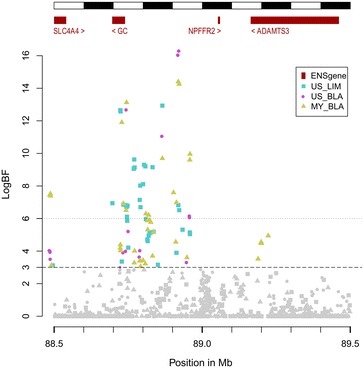 Fig. 2