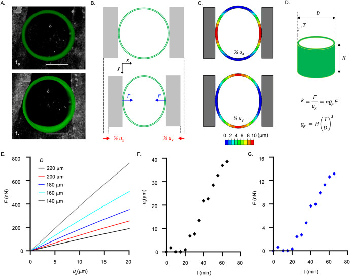 Extended Data Fig. 8