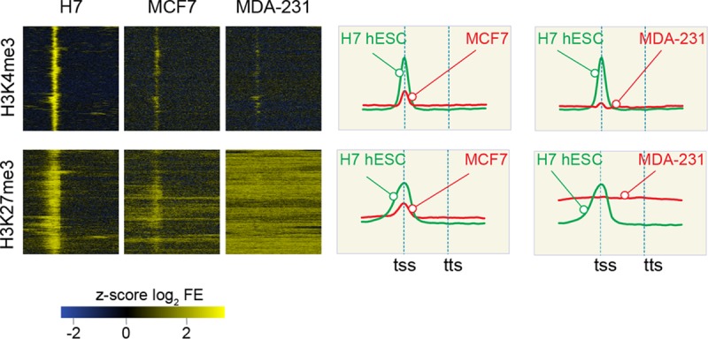 FIG 2