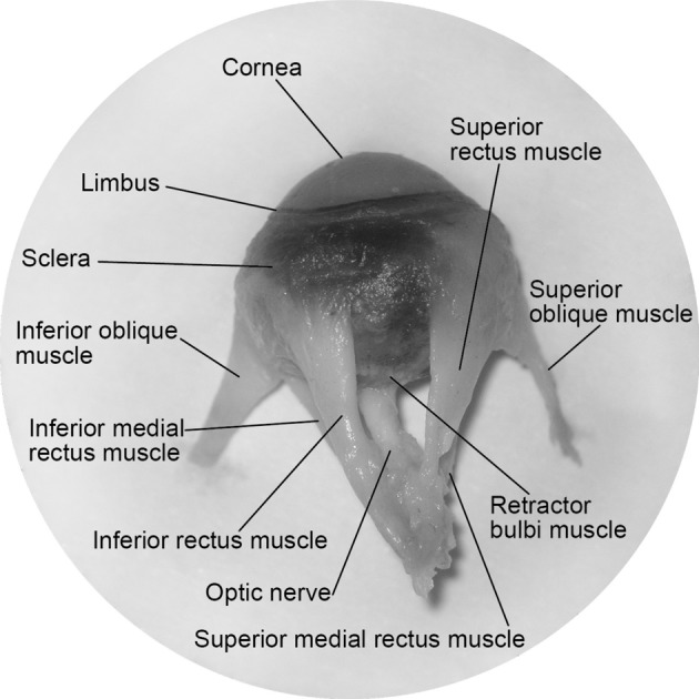 Figure 2.