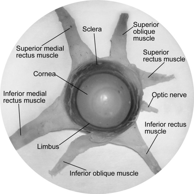 Figure 3.