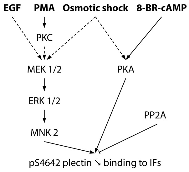 Fig. 9.