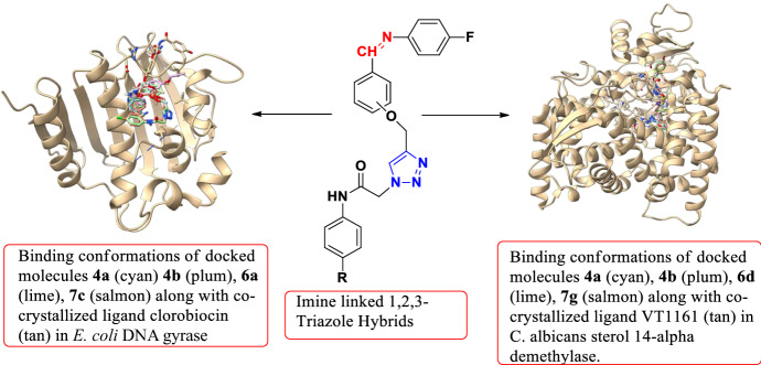 graphic file with name 11164_2022_4737_Figa_HTML.jpg