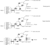 FIG. 4.