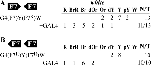 FIG. 5.