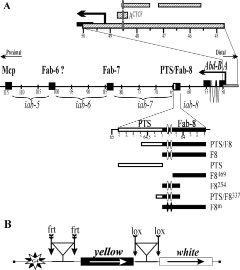 FIG. 1.