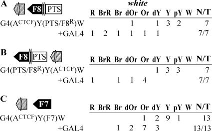 FIG. 7.