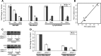 Figure 3.