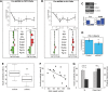 Figure 2.