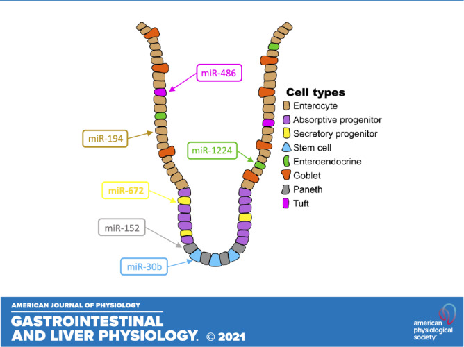 graphic file with name gi-00222-2021r01.jpg