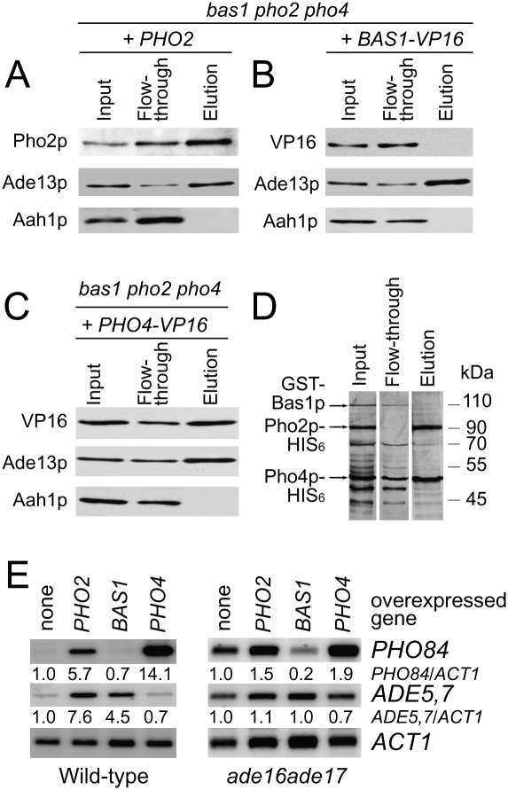 Figure 6.