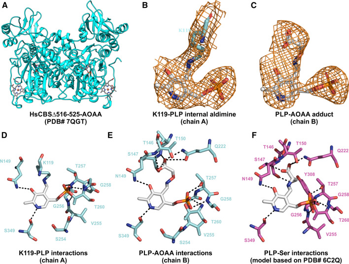 Fig. 6