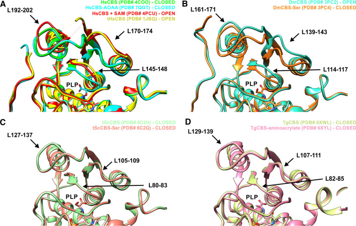 Fig. 7