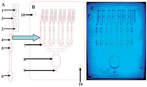 Fig. 2