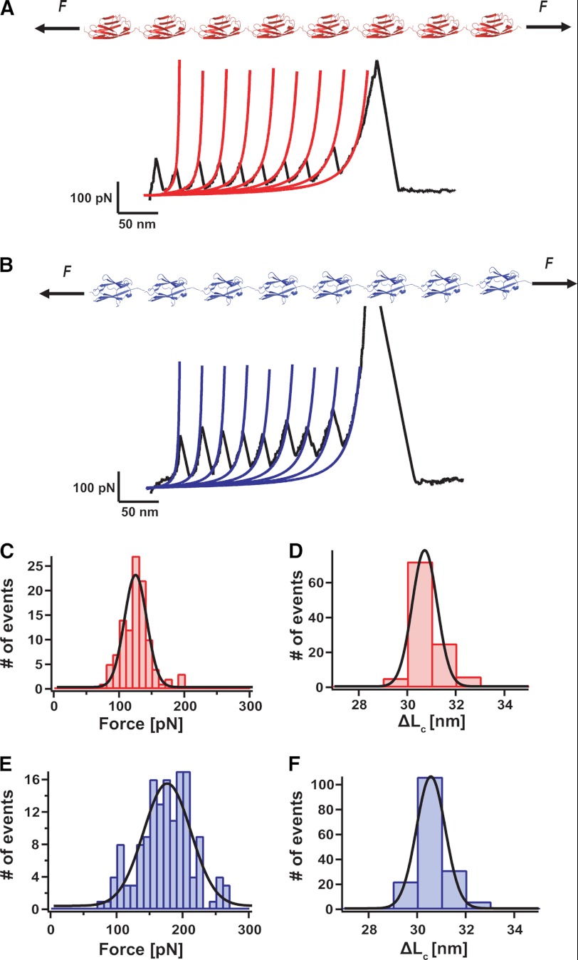 FIGURE 1.