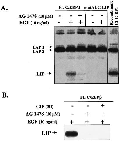 FIG. 9.