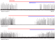 Figure 4—figure supplement 2.