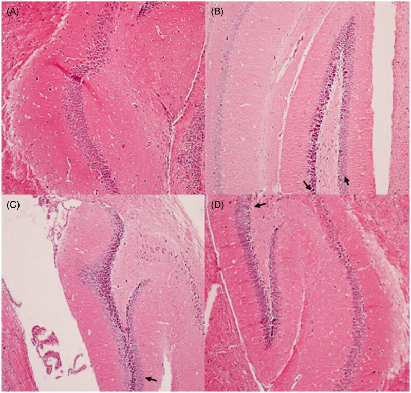 Figure 7.