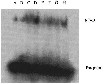 FIG. 7.