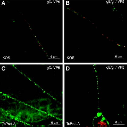 FIG. 8.