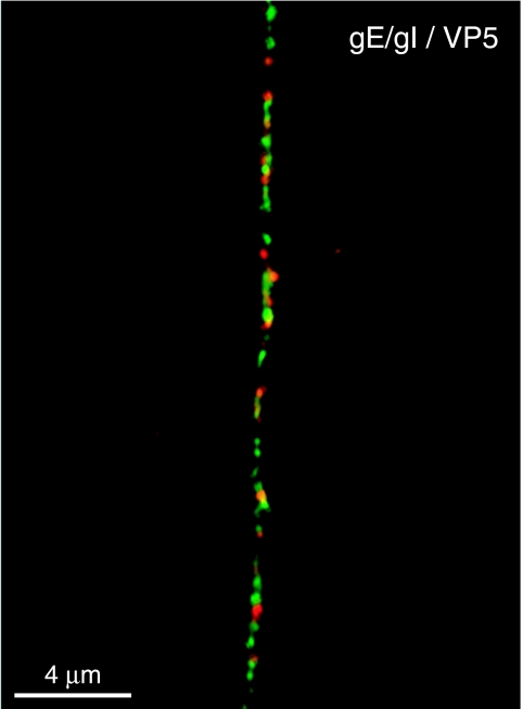 FIG. 5.