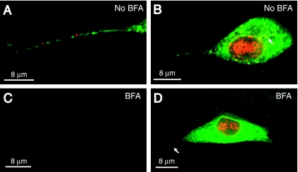 FIG. 7.