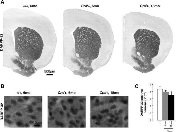 Figure 4.