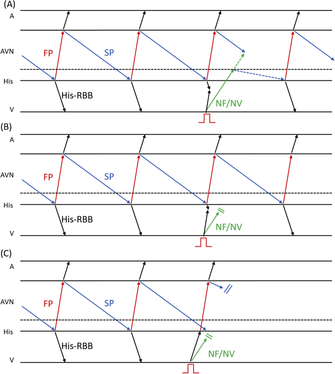 Supplementary Figure 2