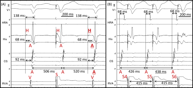 Supplementary Figure 5