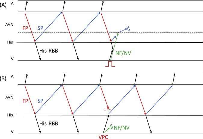 Supplementary Figure 4