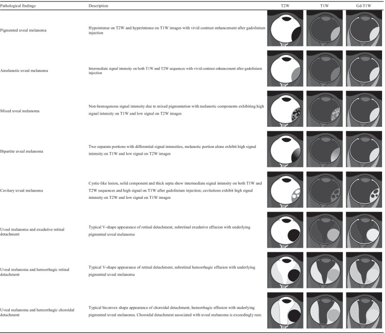 graphic file with name 13244_2021_1000_Tab4_HTML.jpg