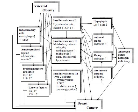 Fig. (1)