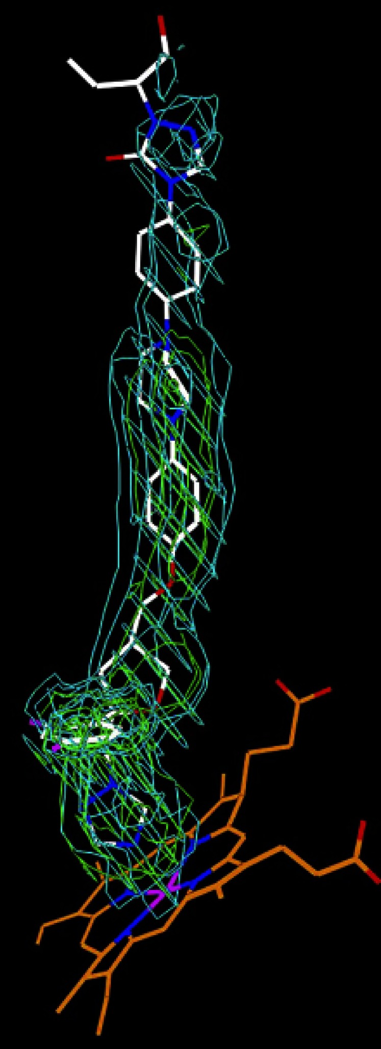 Fig. 2.