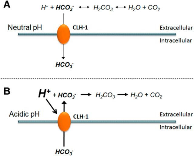 Figure 9.