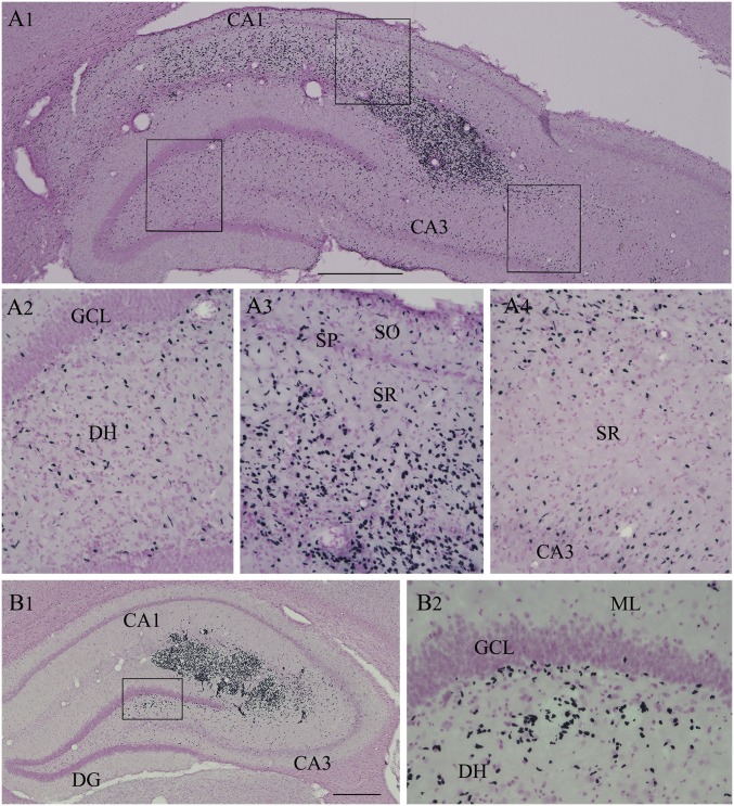 Fig. 4.