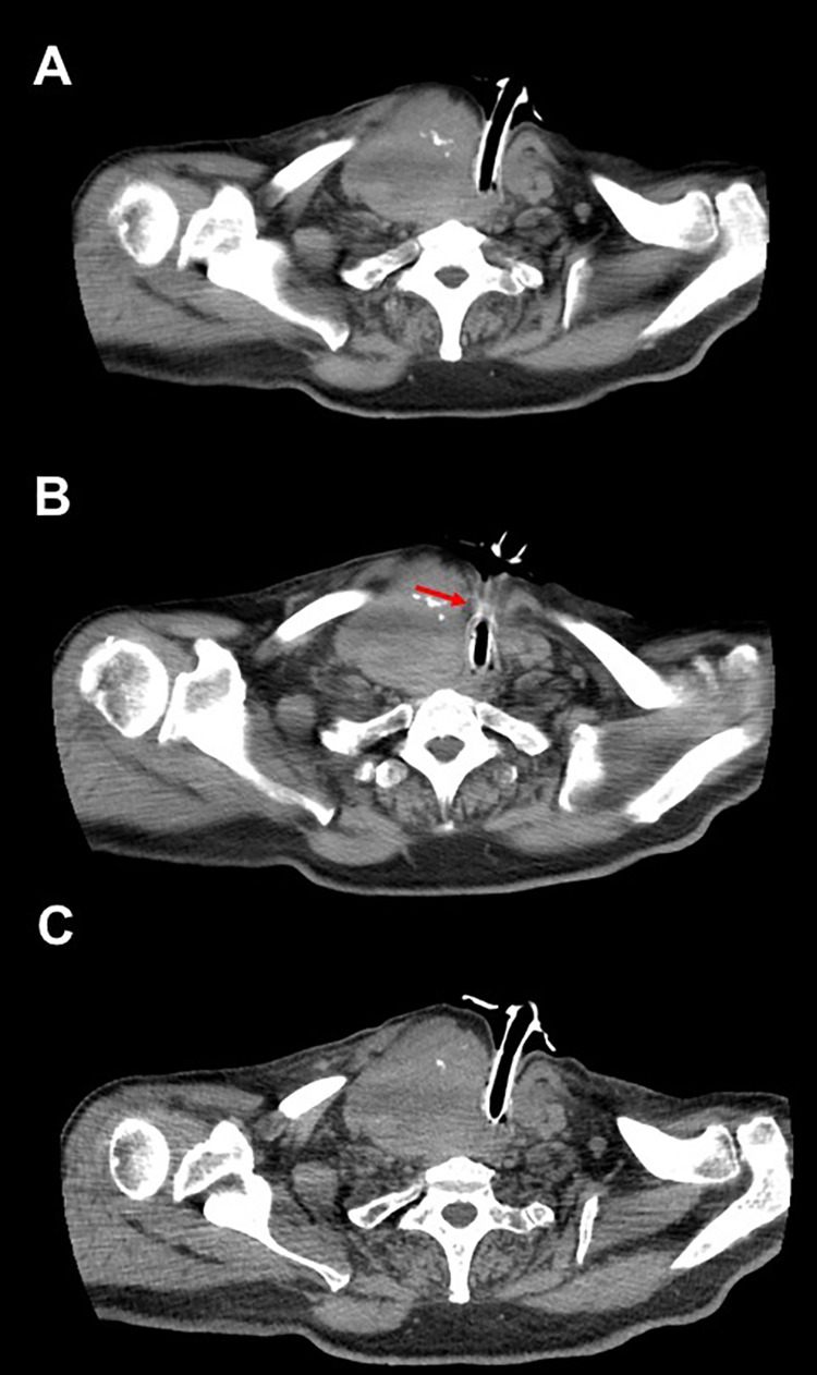 Figure 3.