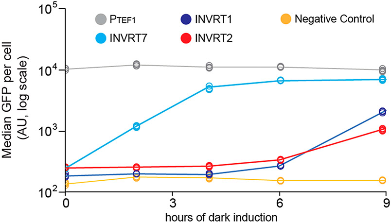 Figure 3.