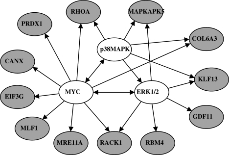 Fig. 4.