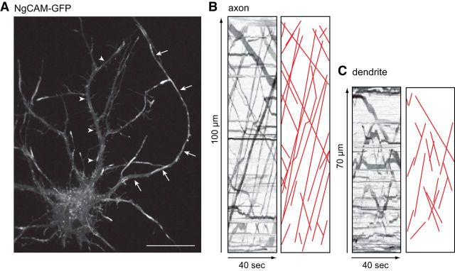 Figure 3.