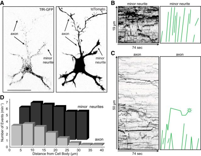 Figure 6.