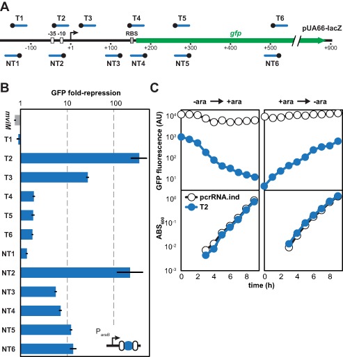 Figure 2.