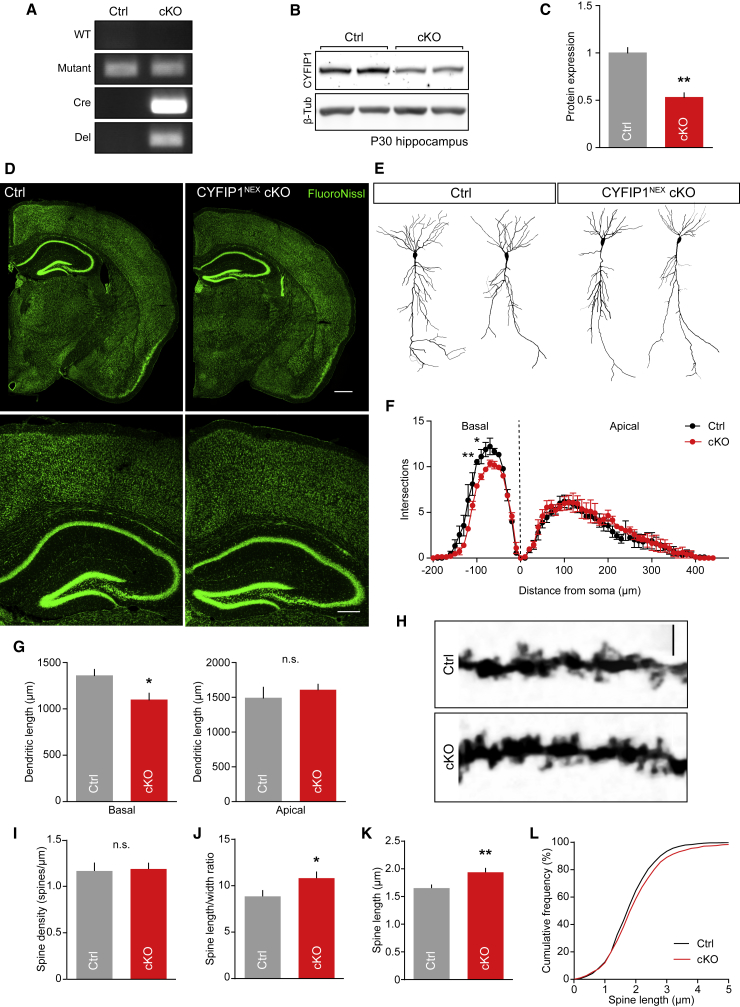 Figure 5