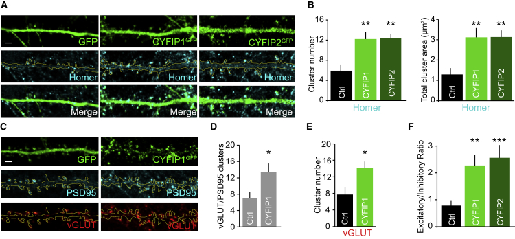 Figure 3