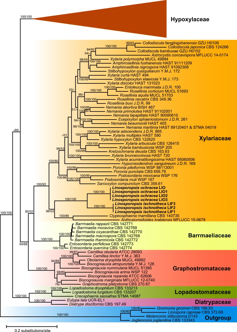 Fig. 1